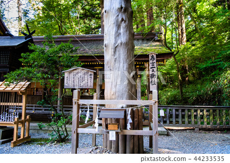 Nagano Suwa Taisha Shimosha Harumiya Kazuyuki Onchou 44233535
