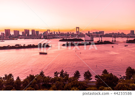 Beautiful architecture building cityscape of tokyo city with rainbow bridge 44233586