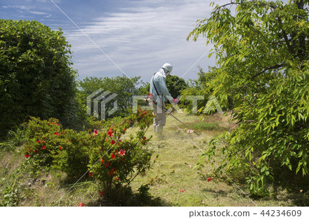 Mowing person 44234609