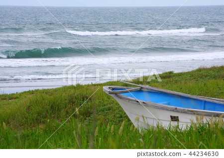 Nakatajima sand dunes between the rainy seasons 44234630