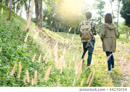 man and woman walk in the forest 44235034