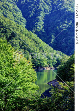 Okutami Lake in the early autumn 44235617