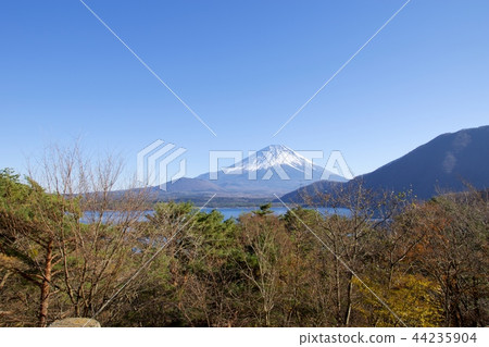 從本莊湖看到的富士山 從本莊湖看到的富士山 44235904