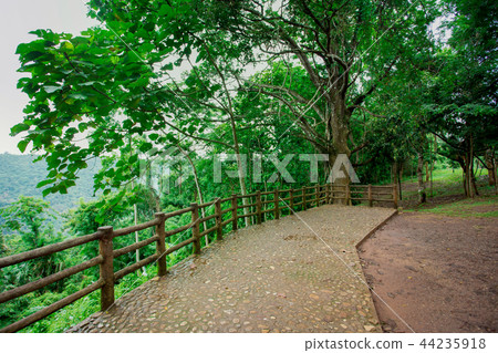 National Landmark, Springtime, Tropical Rainforest 44235918