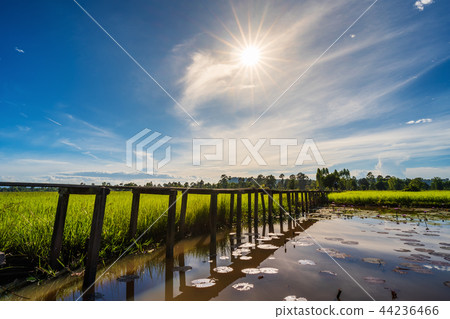 100 year-old wooden bridge at Khonburi district, Nakhon Ratchasi 100 year-old wooden bridge at Khonburi district, Nakhon Ratchasi 44236466