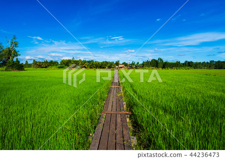 100 year-old wooden bridge at Khonburi district, Nakhon Ratchasi 100 year-old wooden bridge at Khonburi district, Nakhon Ratchasi 44236473