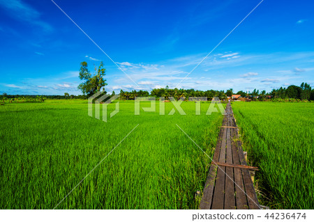 100 year-old wooden bridge at Khonburi district, Nakhon Ratchasi 100 year-old wooden bridge at Khonburi district, Nakhon Ratchasi 44236474