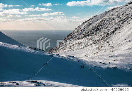 Snowy slope mountain on arctic coastline 44236635