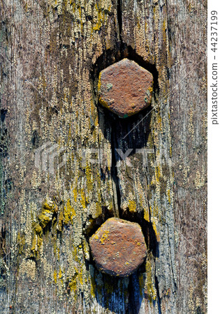 Rusty screws in old wooden plank 44237199
