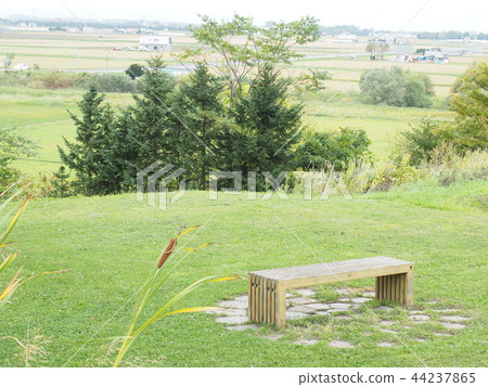 北海道秋天風景和長凳 北海道秋天風景和長凳 44237865