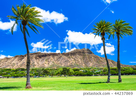 << Hawaii >> Diamond Head Kapiolani Park << Hawaii >> Diamond Head Kapiolani Park 44237869