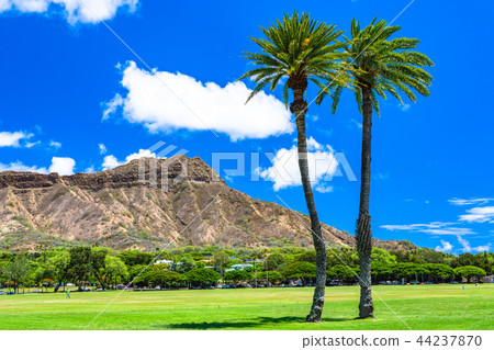 << Hawaii >> Diamond Head Kapiolani Park << Hawaii >> Diamond Head Kapiolani Park 44237870