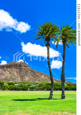 “夏威夷”鑽石頭卡皮歐拉尼公園 44237873