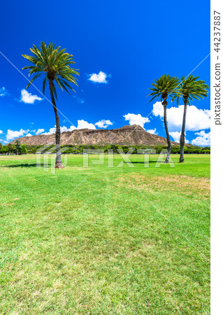 “夏威夷”鑽石頭卡皮歐拉尼公園 44237887