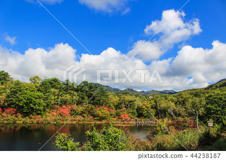 滋賀Kusatsu路的風景 滋賀Kusatsu路的風景 44238187