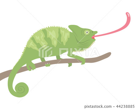 變色龍 變色龍 44238885