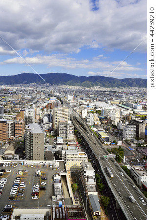 東大阪市 44239210