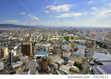 東大阪市 東大阪市 44239211