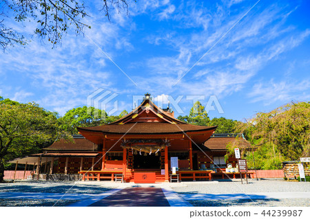 富士主要神社淺間新沙 富士主要神社淺間新沙 44239987