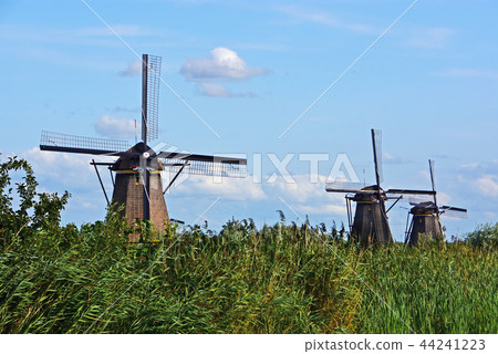 Dutch windmill Dutch windmill 44241223