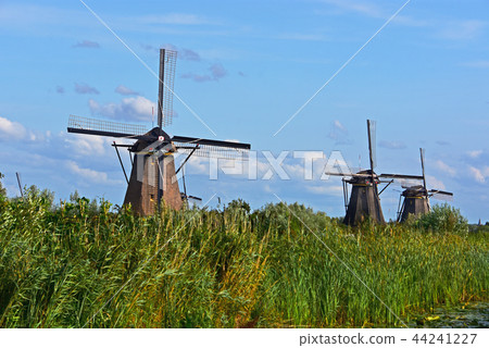 Dutch windmill 44241227