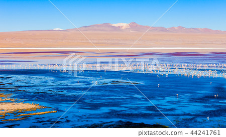 Laguna Colorada lake 44241761