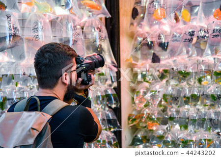 Man taking a photo at goldfish market in Hong Kong 44243202