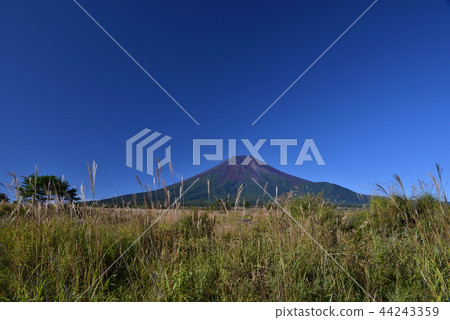 Clear Mt. Fuji and Susuki Clear Mt. Fuji and Susuki 44243359