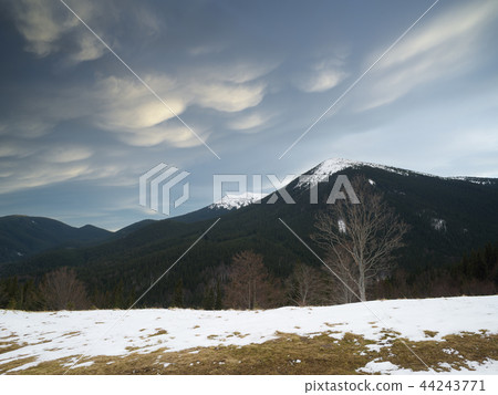 Spring landscape with beech trees on the hill Spring landscape with beech trees on the hill 44243771