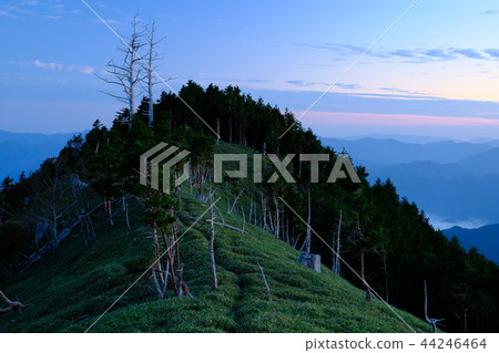 北田大早晨(奈良縣吉野縣上北山村) 北田大早晨(奈良縣吉野縣上北山村) 44246464