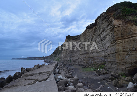 Folding screens 44247157