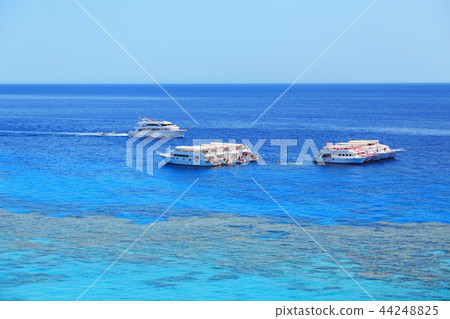 place for diving and snorkeling in red sea place for diving and snorkeling in red sea 44248825