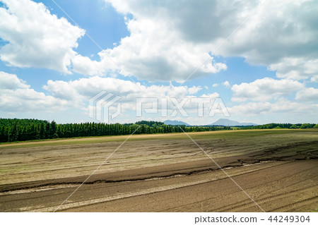生產山村麥田 44249304