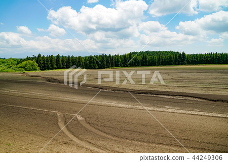 生產山村麥田 44249306