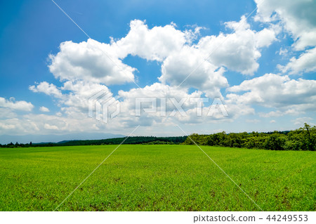 生產山村麥田 44249553