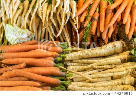 Carrots and celery. Carrots and celery. 44249915