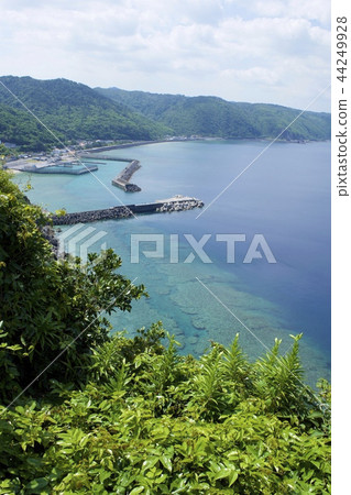 Tuna Banta (Kunigami Village, Okinawa Prefecture) Tuna Banta (Kunigami Village, Okinawa Prefecture) 44249928