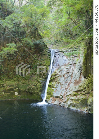 紅眼Shimpaki瀑布〜布瀑布〜 44250370