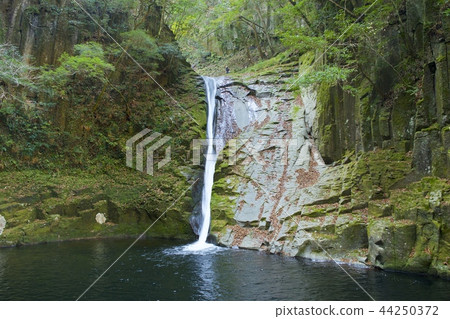 紅眼Shimpaki瀑布〜布瀑布〜 44250372