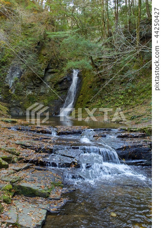 Red Eye Shimpaki Falls - Biwa Falls ~ 44250427