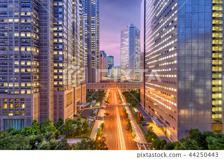 Shinjuku, Tokyo, Japan Cityscape 44250443