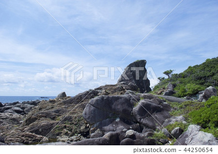 Cape Muroto - Eboshi rock 44250654