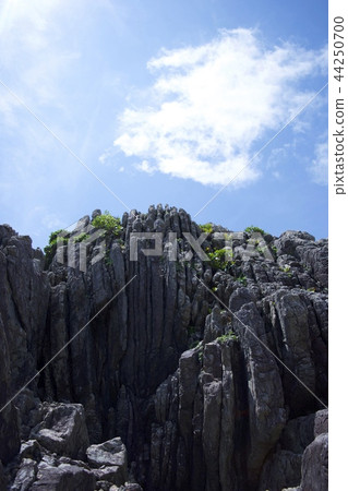 Muroto海角 - 濁積層 44250700