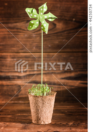Potted seedlings growing in pot Potted seedlings growing in pot 44250734