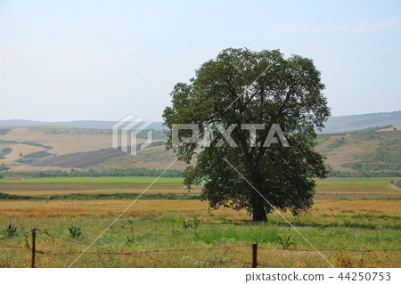 Ismayilli steppes in early autumn Ismayilli steppes in early autumn 44250753
