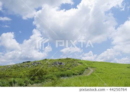 四國喀斯特 - 天國園 44250764