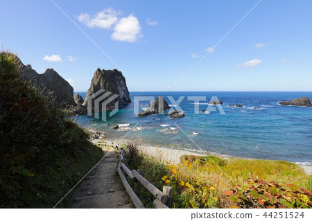 Taking pictures of Japan's Hundred Elections, Shimamui Coast Taking pictures of Japan's Hundred Elections, Shimamui Coast 44251524