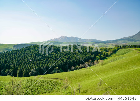 Higo Thai Park 44251543