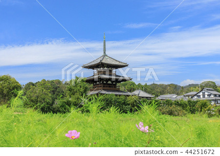 法起寺 44251672
