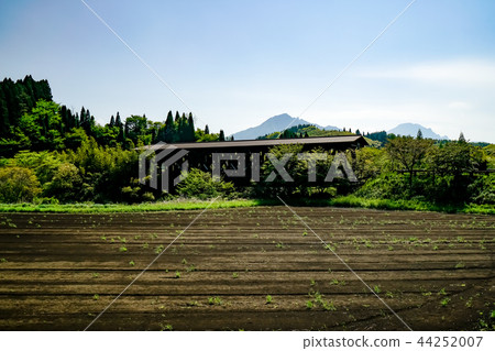 阿蘇橋樑橋樑 44252007